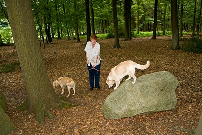 IMG_2262_LR.jpg
