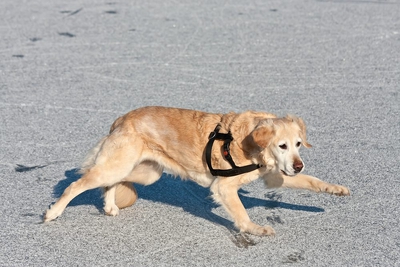 IMG_3598_LR.jpg