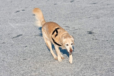 IMG_3616_LR.jpg