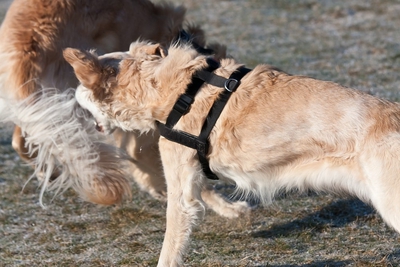 IMG_3632_LR.jpg