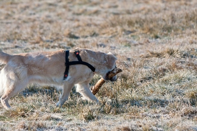 IMG_3646_LR.jpg