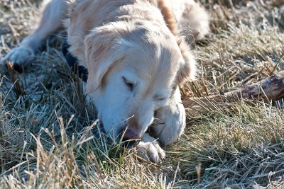 IMG_3647_LR.jpg