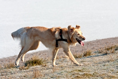 IMG_3653_LR.jpg