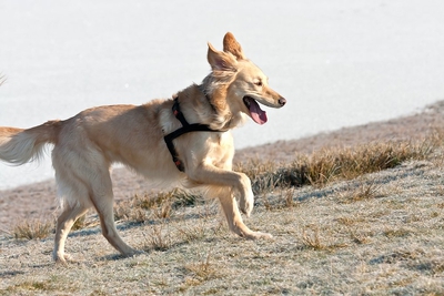 IMG_3654_LR.jpg