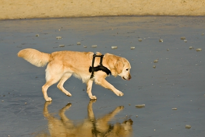 IMG_4013_LR.jpg