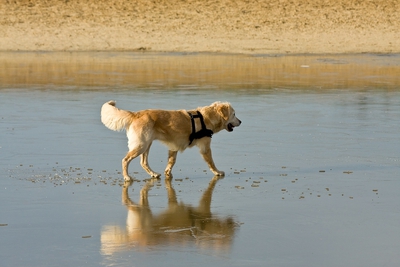 IMG_4017_LR.jpg