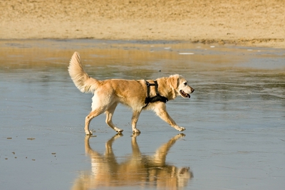 IMG_4018_LR.jpg