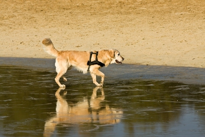IMG_4021_LR.jpg