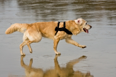 IMG_4052_LR.jpg