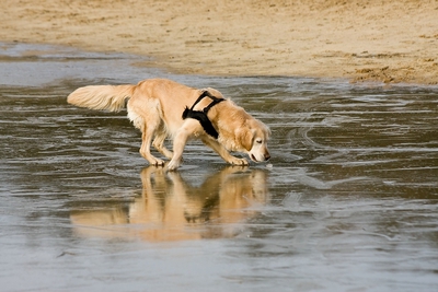 IMG_4056_LR.jpg