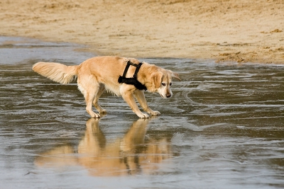 IMG_4058_LR.jpg