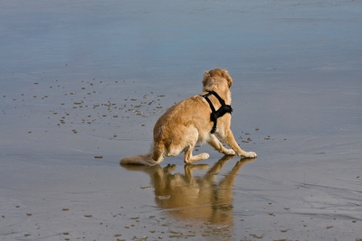 IMG_4075_LR.jpg