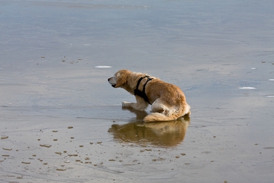 IMG_4078_LR.jpg