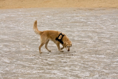 IMG_4192_LR.jpg