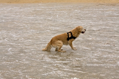 IMG_4198_LR.jpg