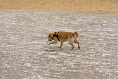 IMG_4200_LR.jpg