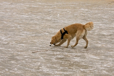 IMG_4201_LR.jpg