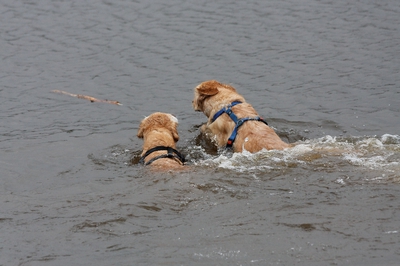 IMG_9097_LR_raw.jpg