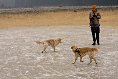 IMG_4202_LR.jpg