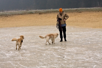 IMG_4204_LR.jpg