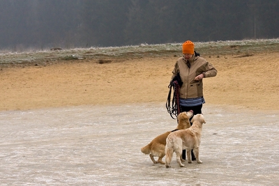 IMG_4206_LR.jpg