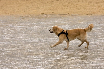 IMG_4207_LR.jpg