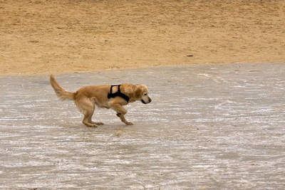 IMG_4209_LR.jpg
