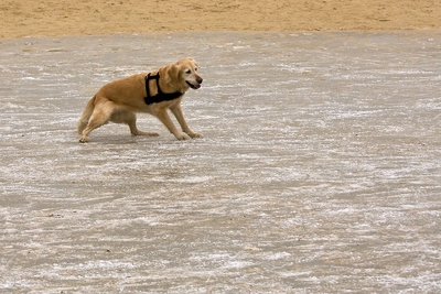 IMG_4211_LR.jpg