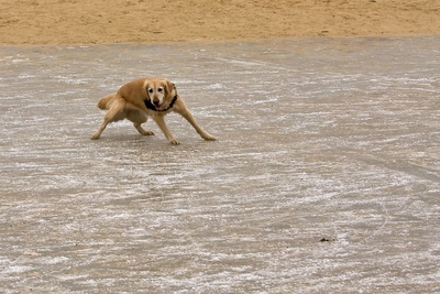 IMG_4214_LR.jpg