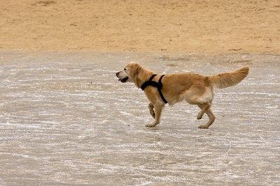 IMG_4215_LR.jpg