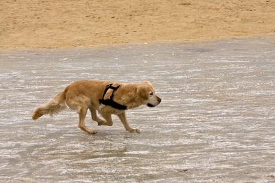 IMG_4218_LR.jpg