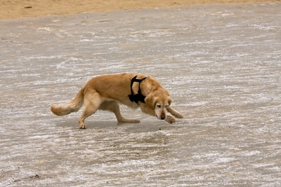 IMG_4220_LR.jpg
