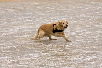 IMG_4221_LR.jpg