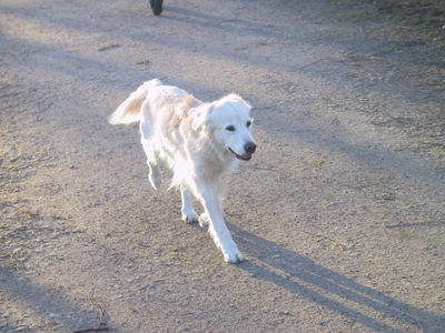 100_0041.jpg