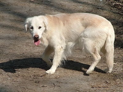 April-083.jpg