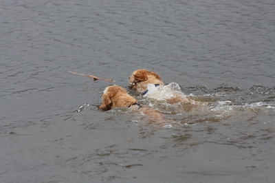 IMG_9099_LR_raw.jpg