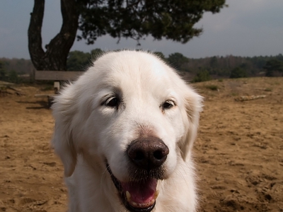 April_150.jpg