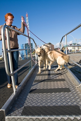 IMG_0801_LR.jpg
