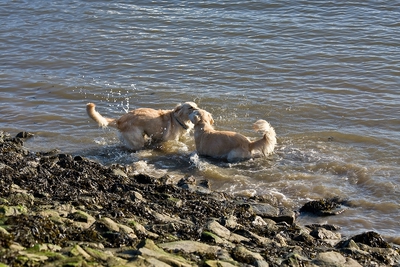 IMG_0811_LR.jpg