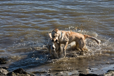 IMG_0818_LR.jpg