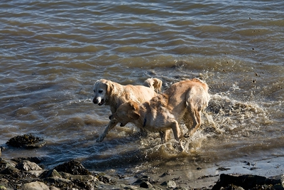 IMG_0819_LR.jpg