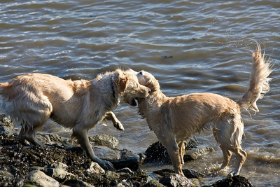 IMG_0823_LR.jpg