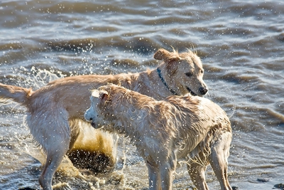 IMG_0833_LR.jpg