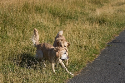 IMG_0858_LR.jpg