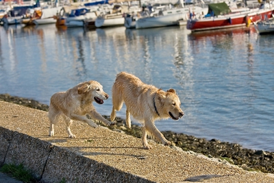IMG_0878_LR.jpg