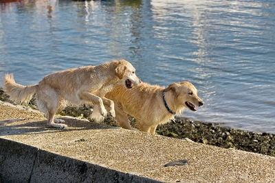 IMG_0880_LR.jpg